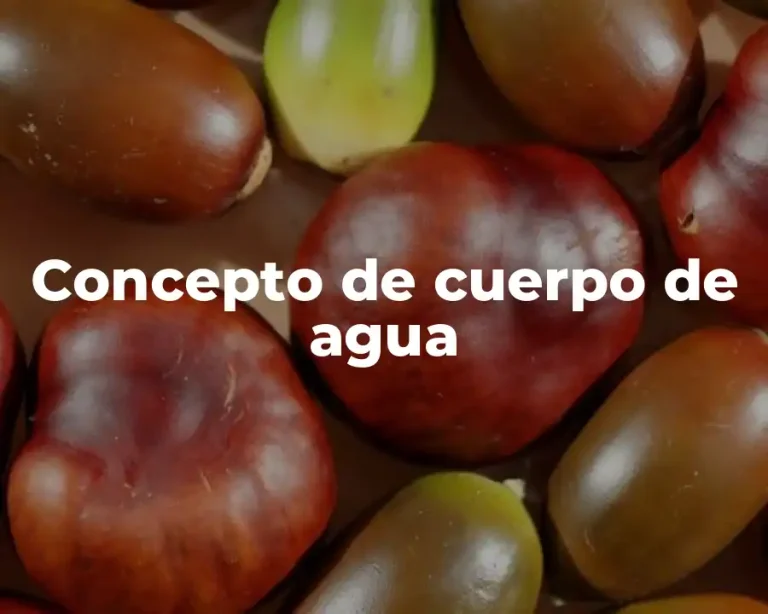 Concepto de cuerpo de agua