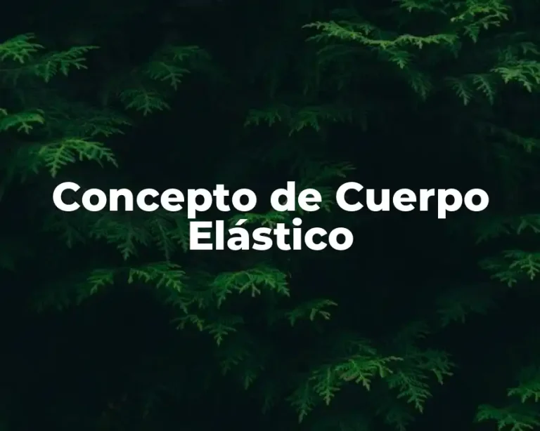 Concepto de Cuerpo Elástico