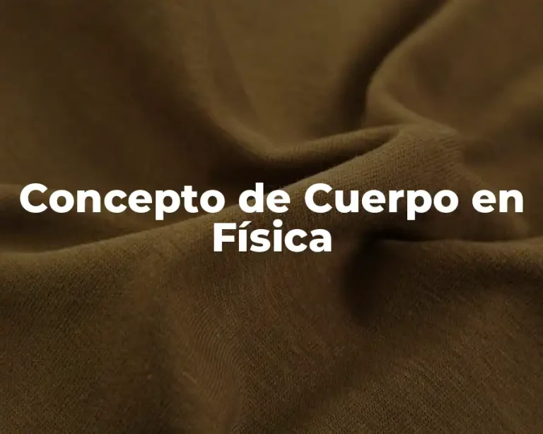 Concepto de Cuerpo en Física