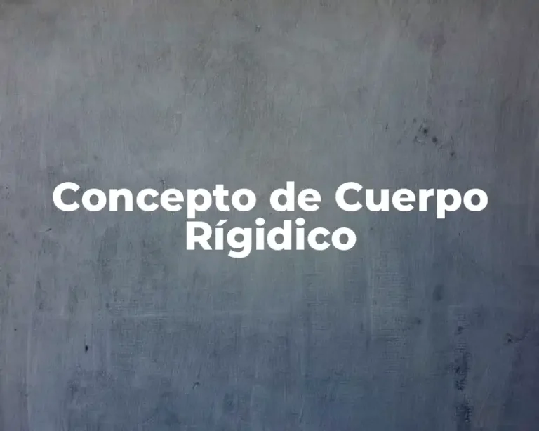 Concepto de Cuerpo Rígidico