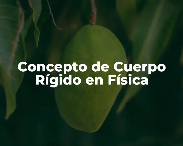 Concepto de Cuerpo Rígido en Física