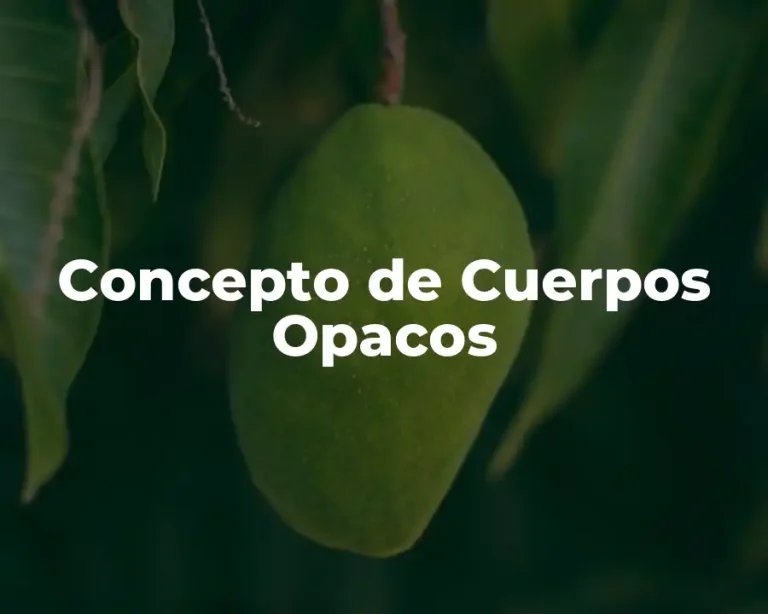 Concepto de Cuerpos Opacos