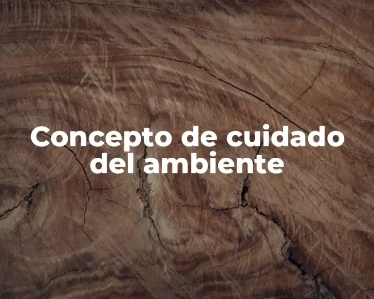 Concepto de cuidado del ambiente