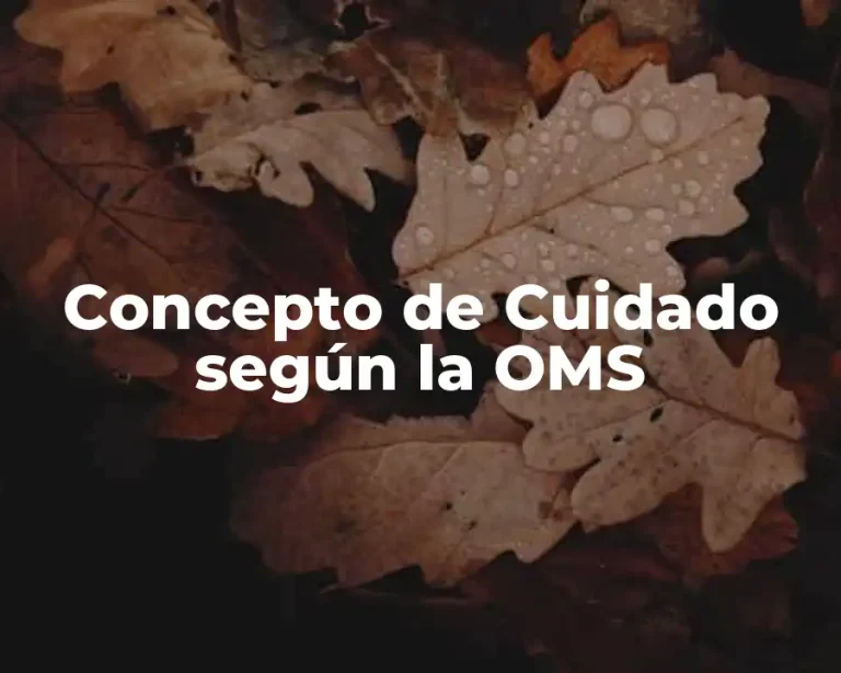 Concepto de Cuidado según la OMS