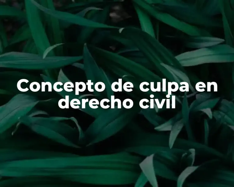 Concepto de culpa en derecho civil