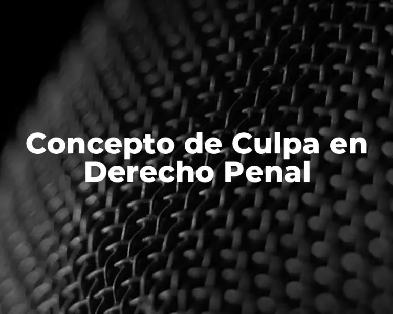 Concepto de Culpa en Derecho Penal