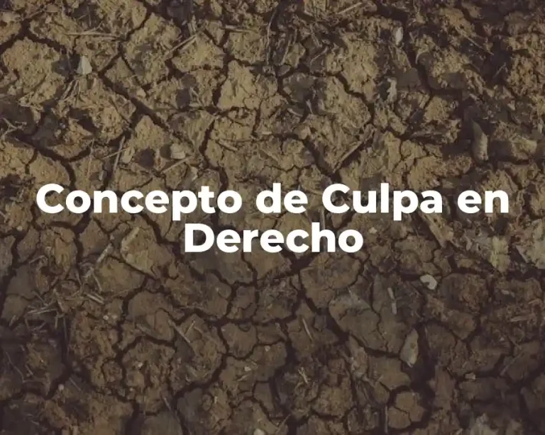 Concepto de Culpa en Derecho