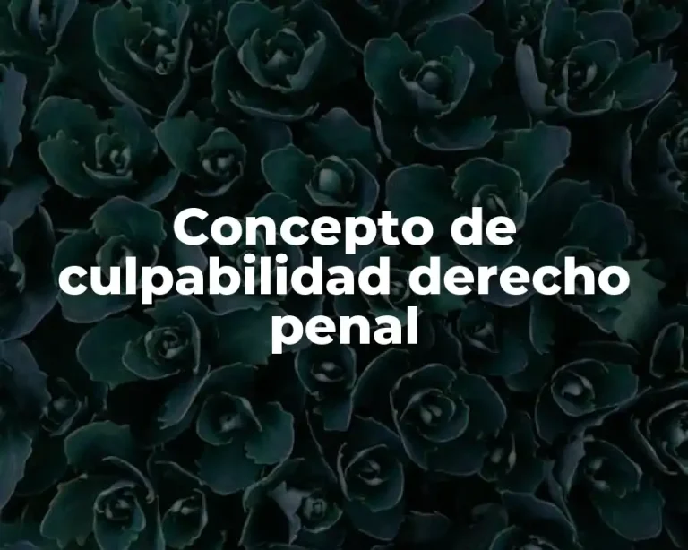 Concepto de culpabilidad derecho penal