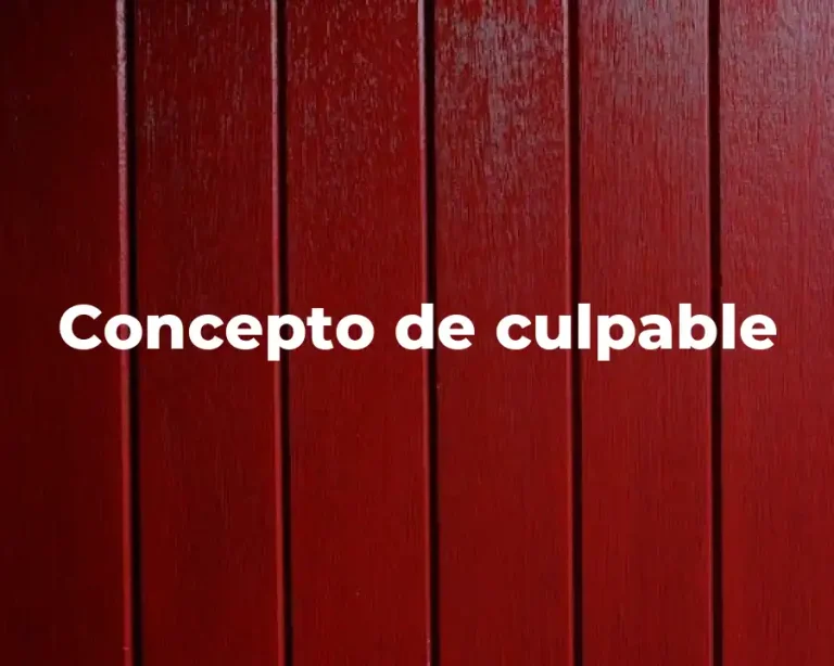 Concepto de culpable