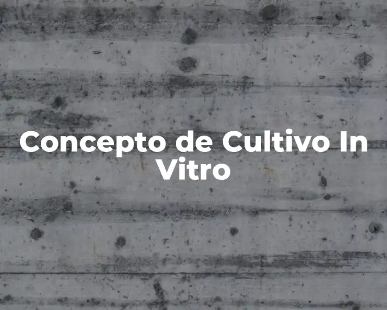 Concepto de Cultivo In Vitro