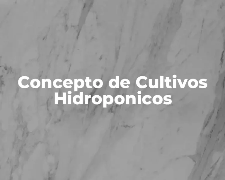 Concepto de Cultivos Hidroponicos