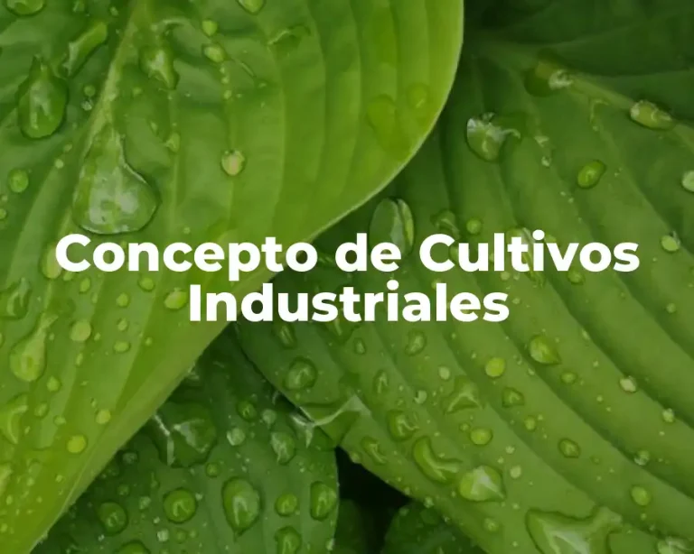 Concepto de Cultivos Industriales