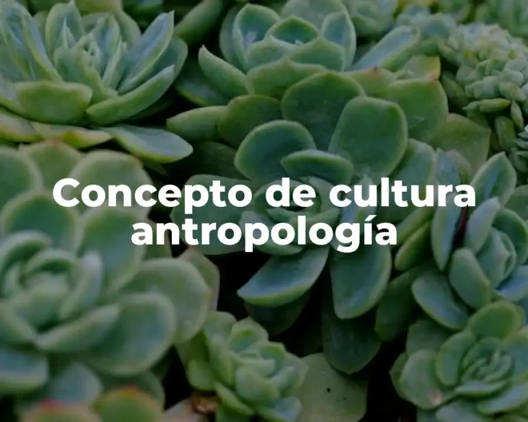 Concepto de cultura antropología