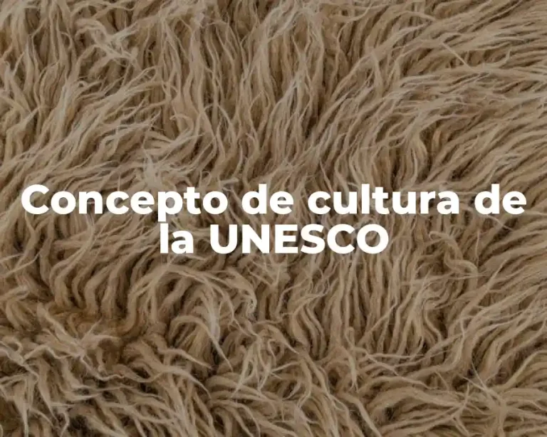 Concepto de cultura de la UNESCO