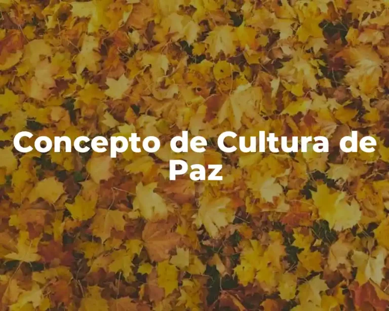 Concepto de Cultura de Paz
