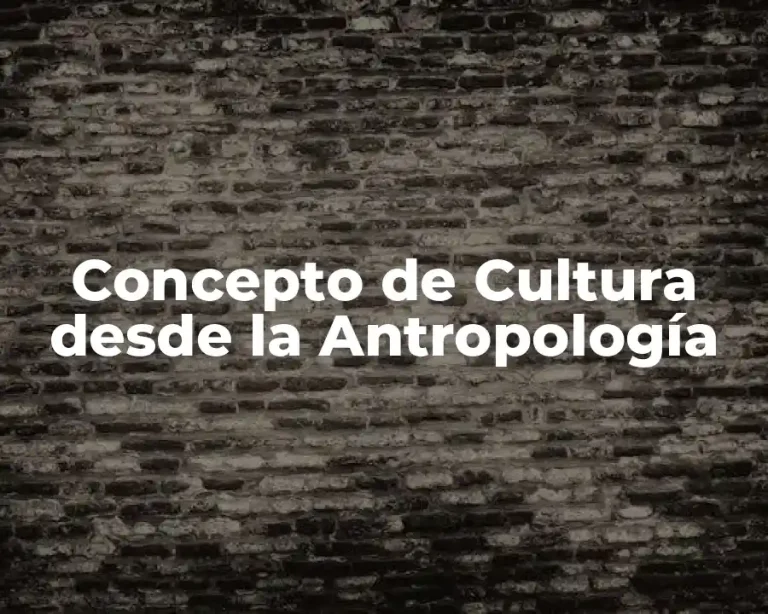 Concepto de Cultura desde la Antropología