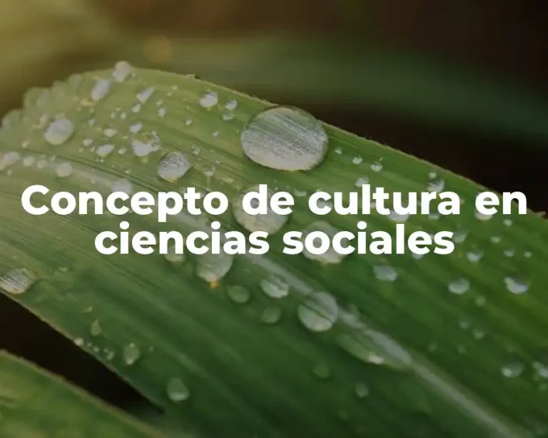 Concepto de cultura en ciencias sociales