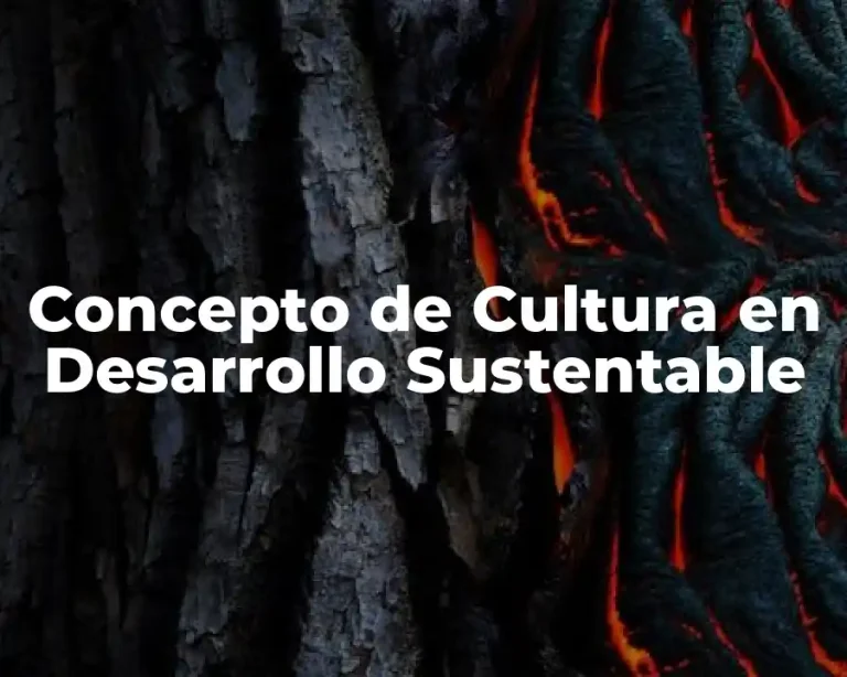 Concepto de Cultura en Desarrollo Sustentable