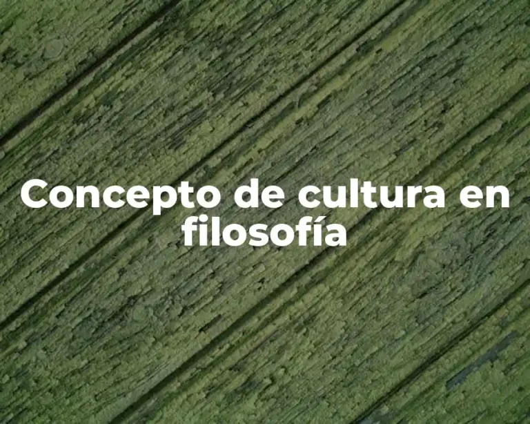 Concepto de cultura en filosofía