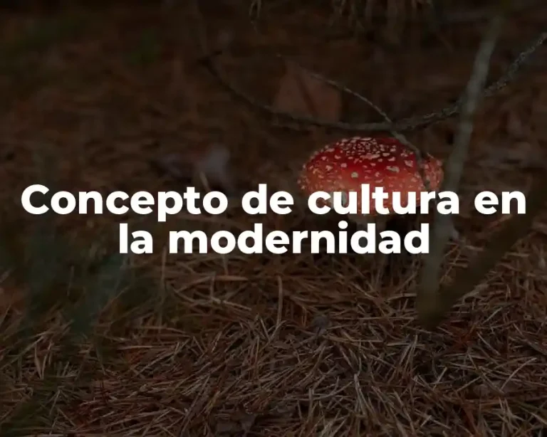 Concepto de cultura en la modernidad