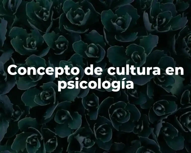 Concepto de cultura en psicología