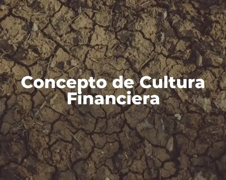 Concepto de Cultura Financiera