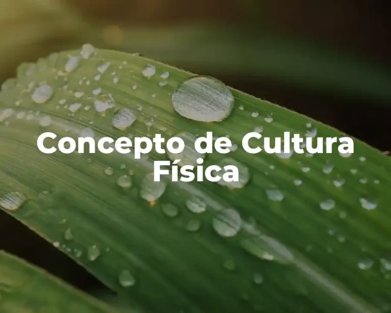 Concepto de Cultura Física
