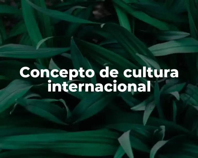 Concepto de cultura internacional