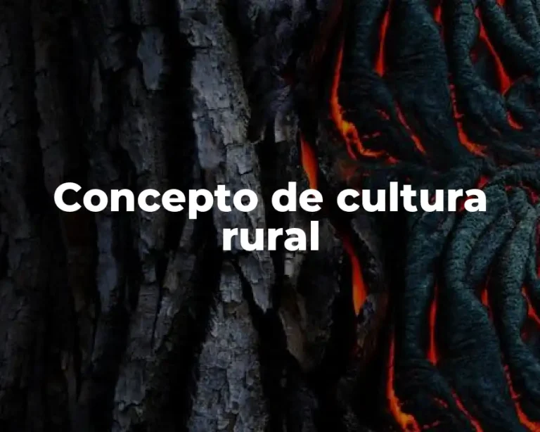 Concepto de cultura rural