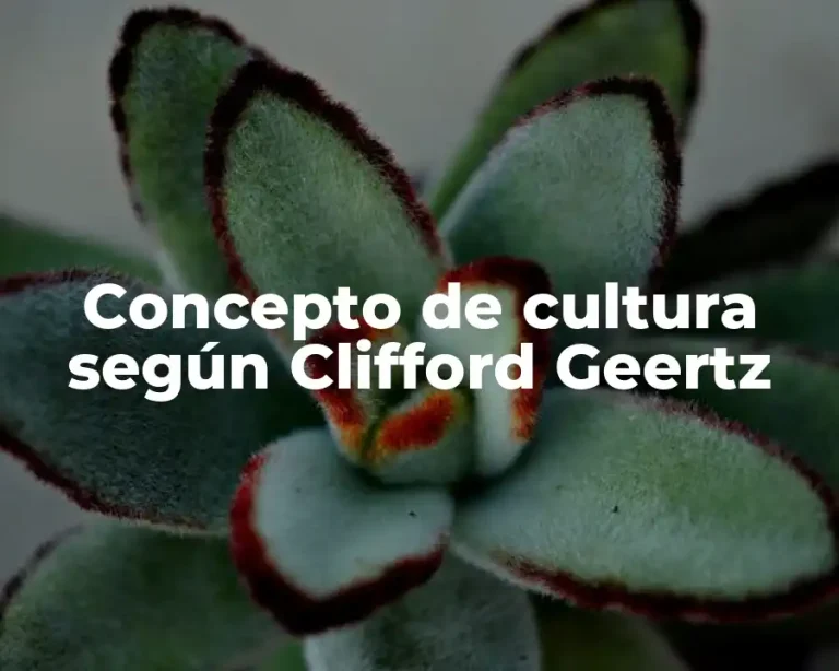 Concepto de cultura según Clifford Geertz