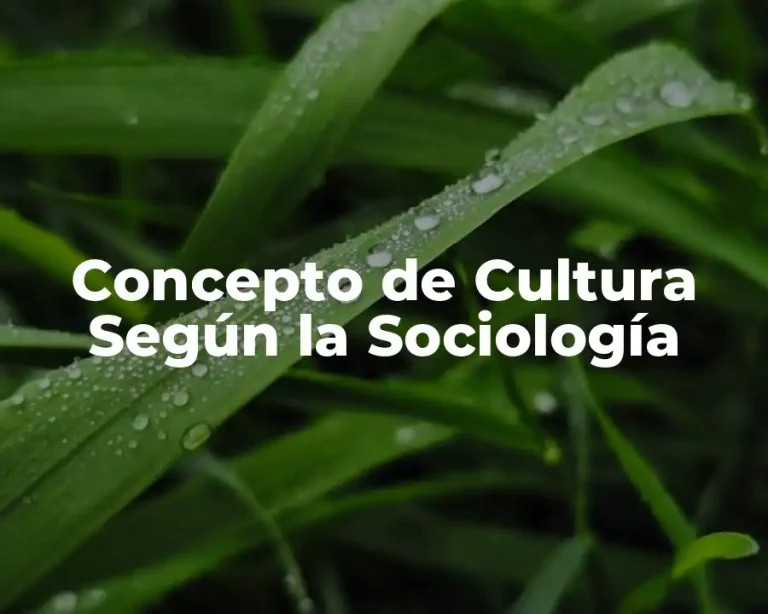 Concepto de Cultura Según la Sociología