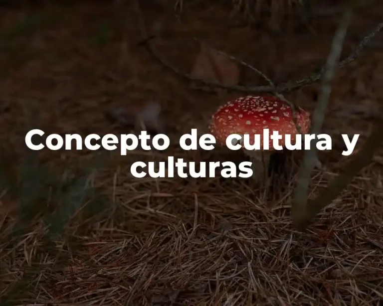 Concepto de cultura y culturas