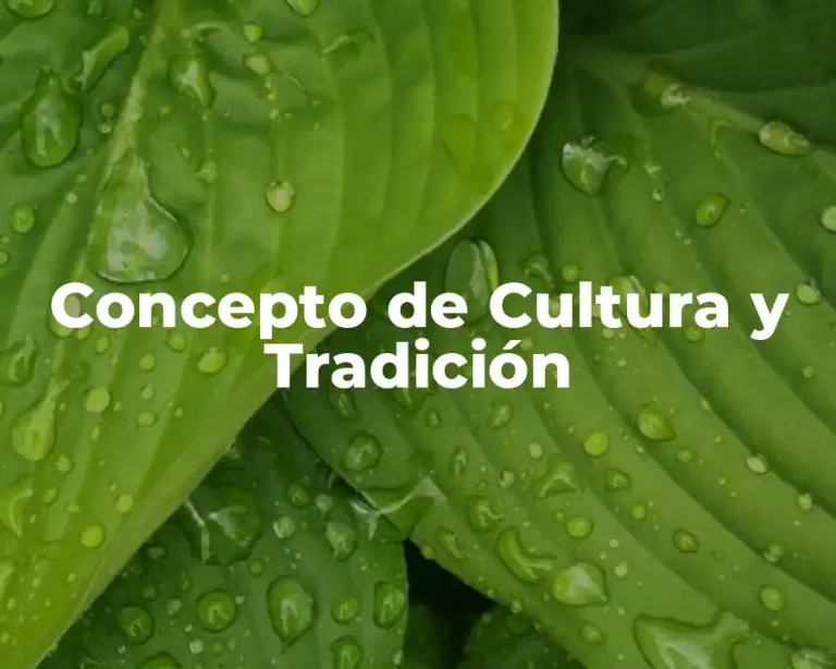 Concepto de Cultura y Tradición