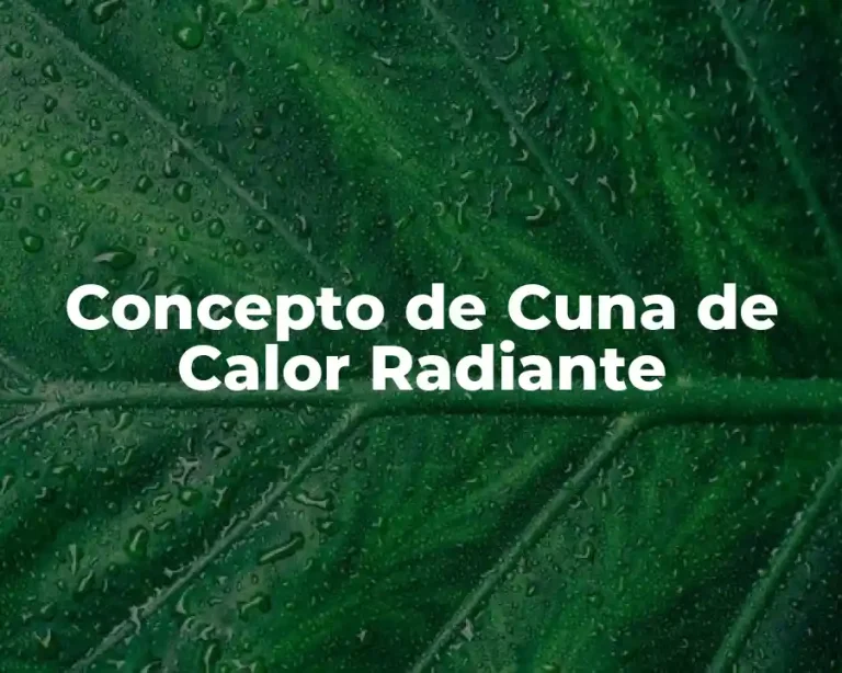 Concepto de Cuna de Calor Radiante