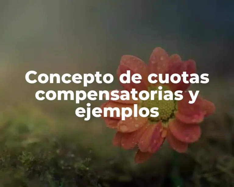 Concepto de cuotas compensatorias y ejemplos