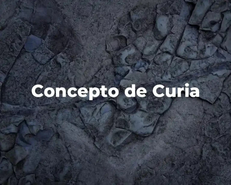 Concepto de Curia