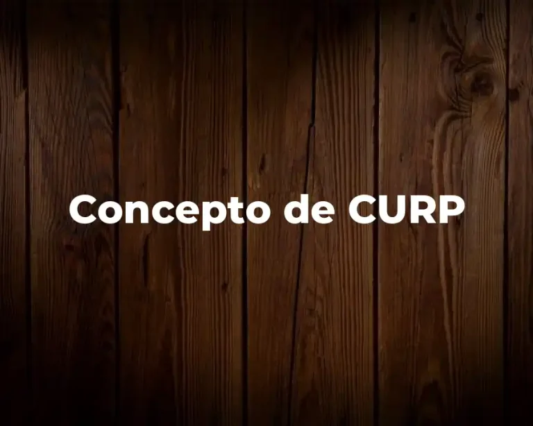 Concepto de CURP