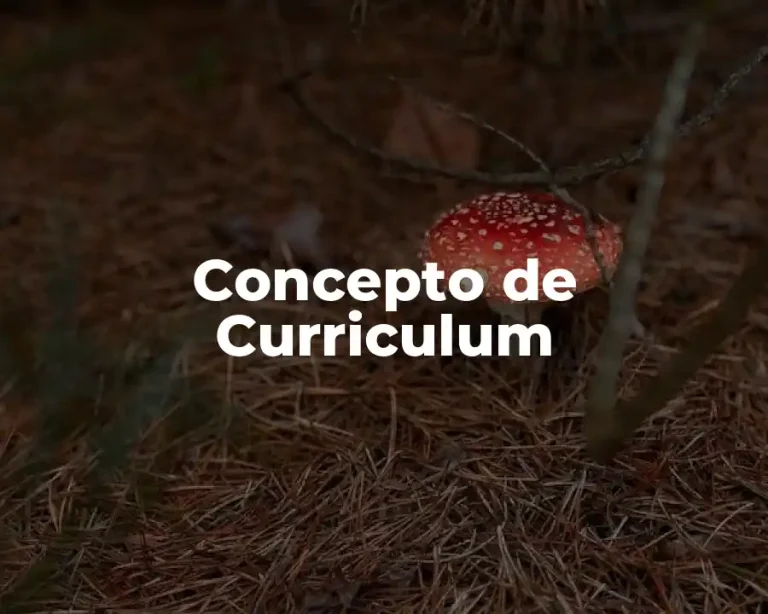 Concepto de Curriculum
