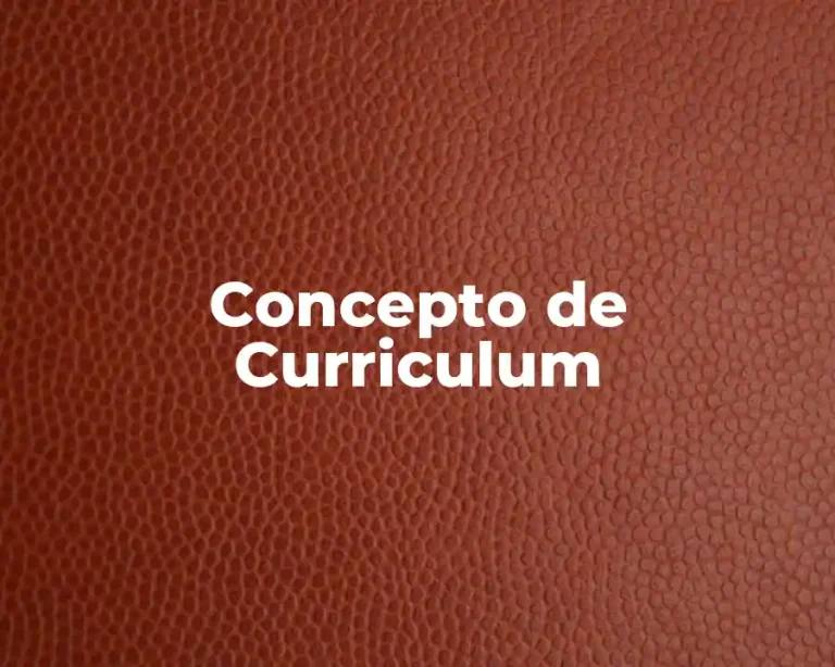 Concepto de Curriculum