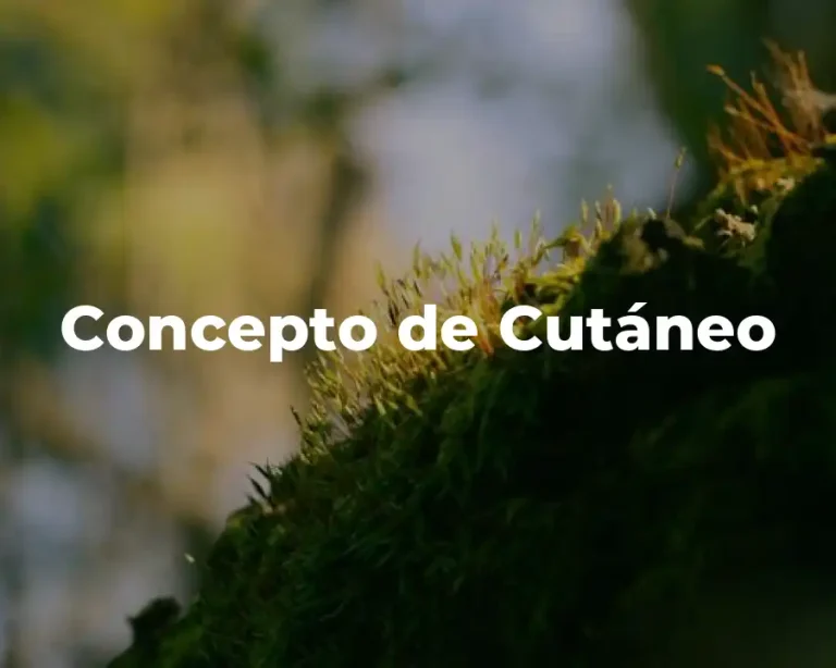 Concepto de Cutáneo