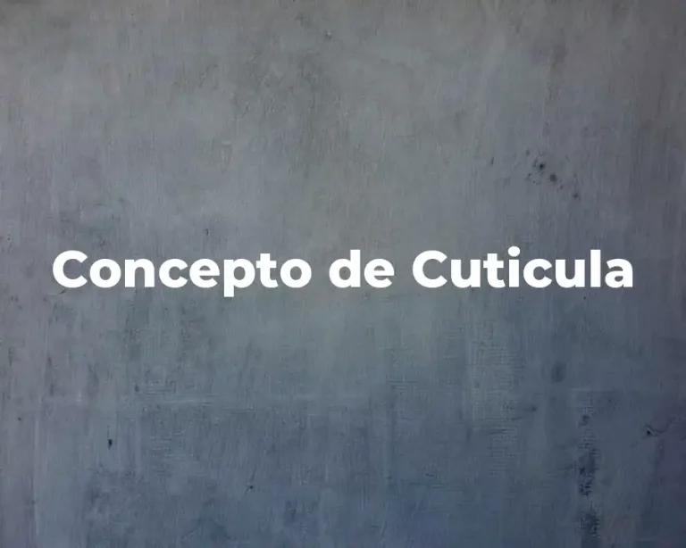 Concepto de Cuticula