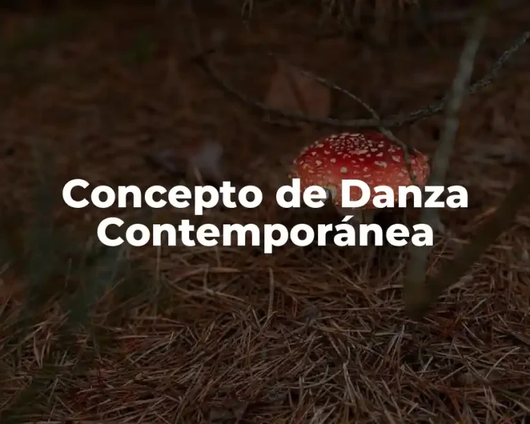 Concepto de Danza Contemporánea