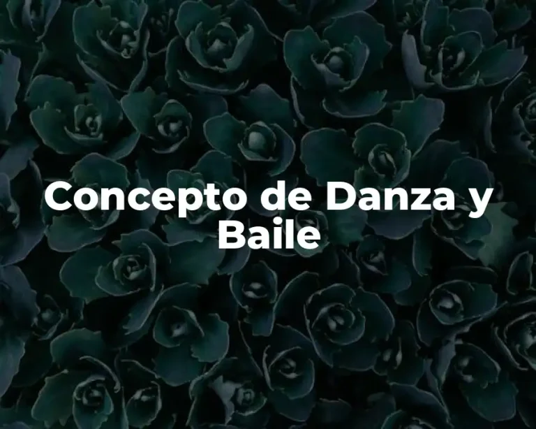 Concepto de Danza y Baile