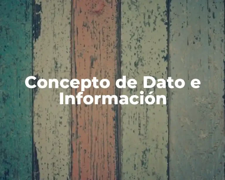 Concepto de Dato e Información