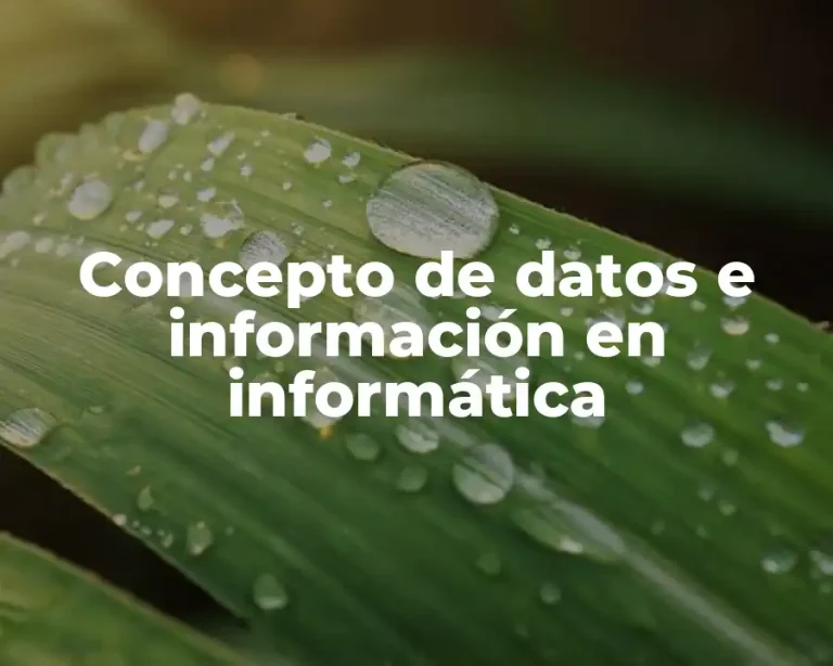 Concepto de datos e información en informática
