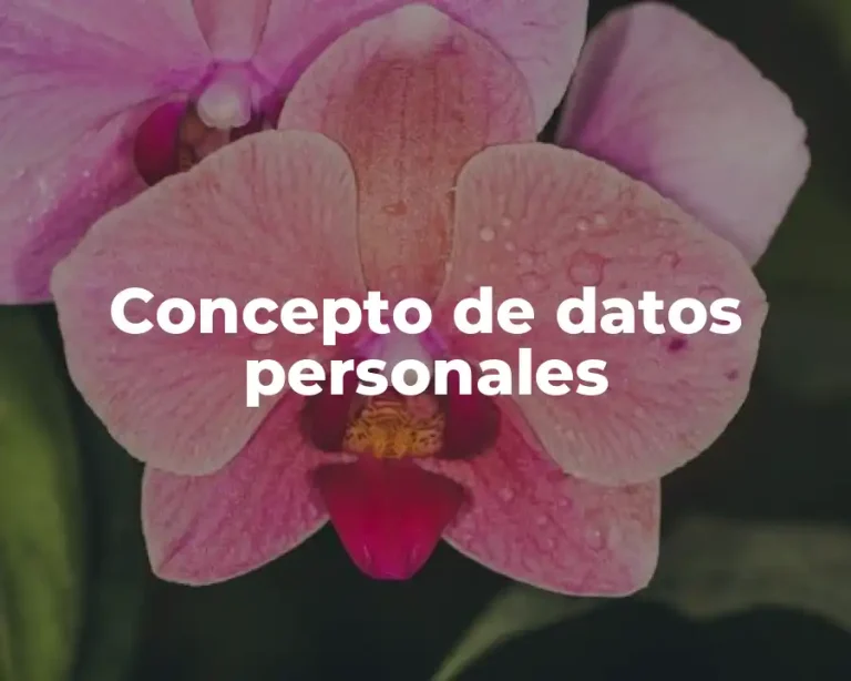 Concepto de datos personales