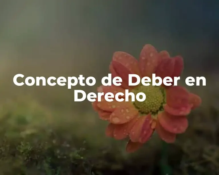 Concepto de Deber en Derecho