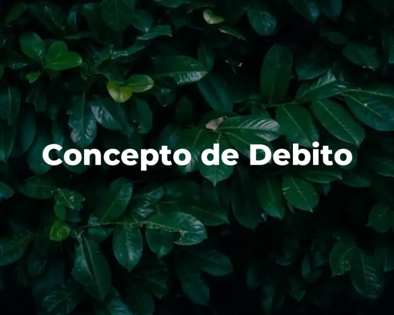 Concepto de Debito