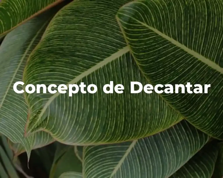 Concepto de Decantar