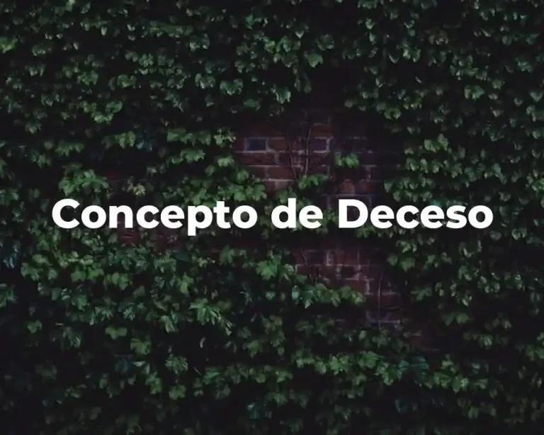 Concepto de Deceso